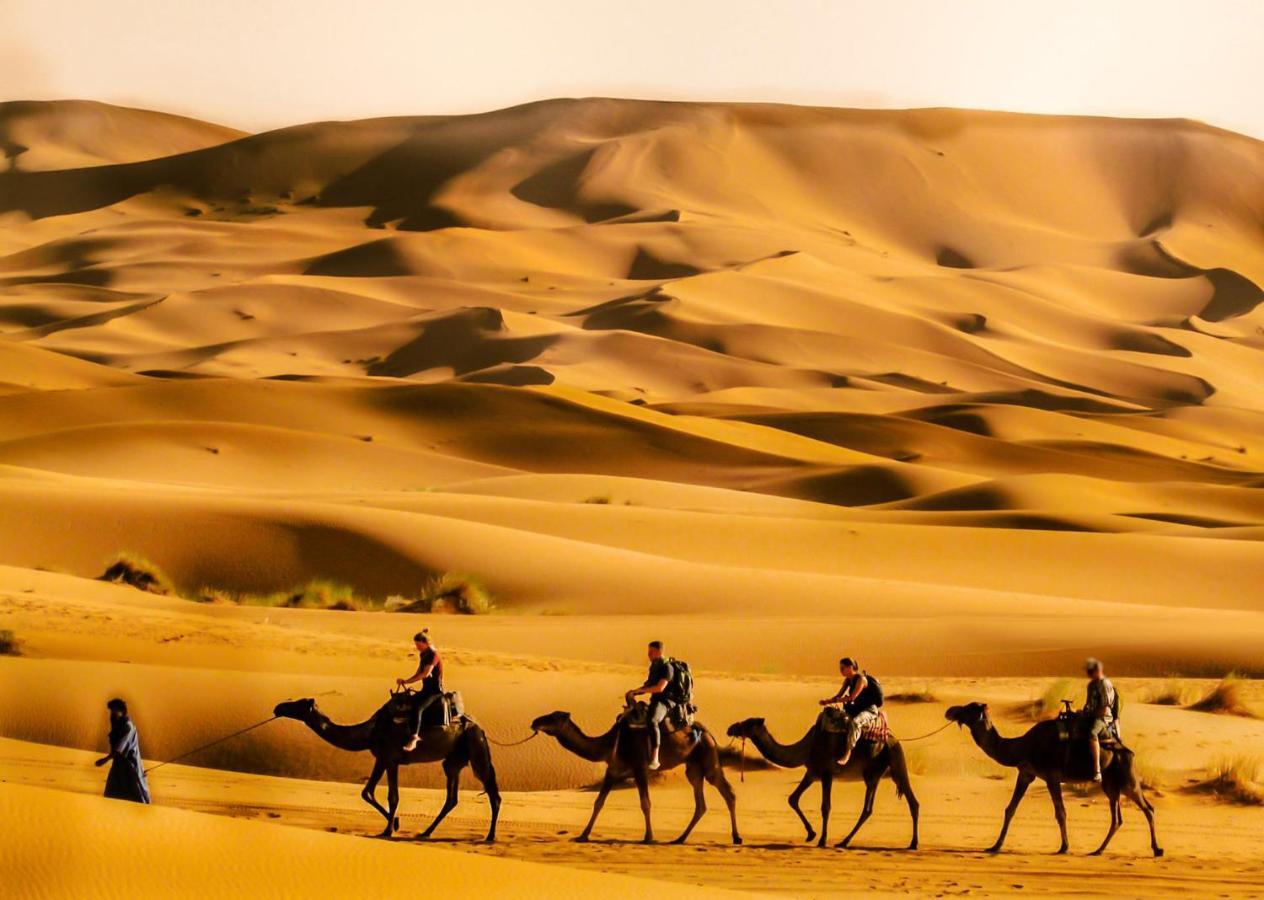 Les Roches Desert Camp مرزوكة المظهر الخارجي الصورة