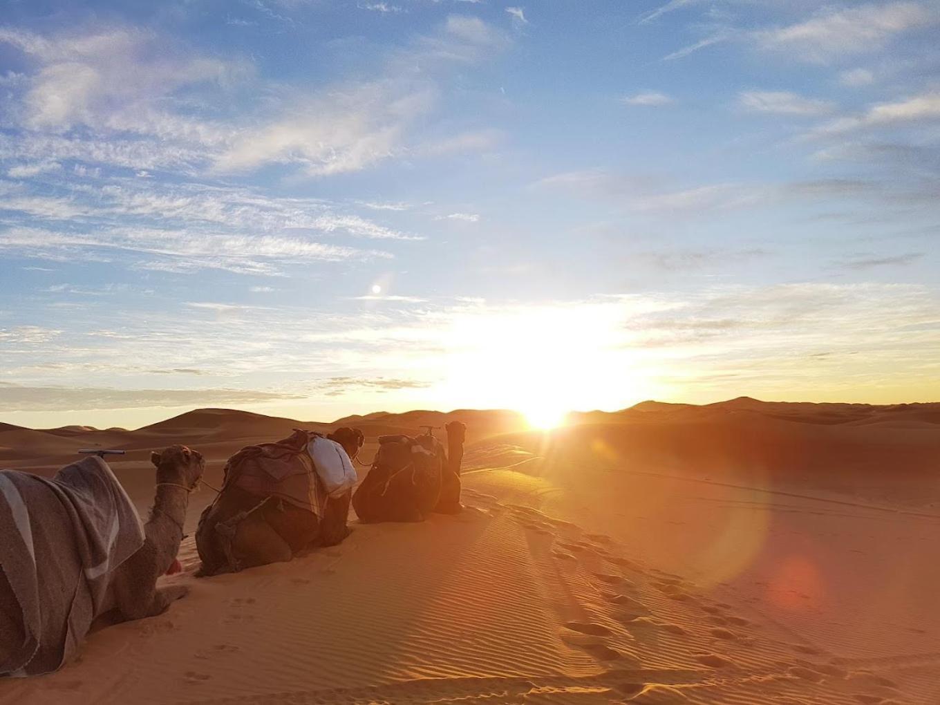 Les Roches Desert Camp مرزوكة المظهر الخارجي الصورة